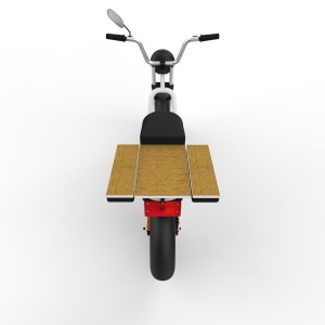 Electric-Scooter-India-5