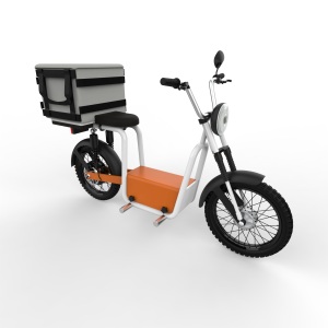 Electric-Scooter-India-6