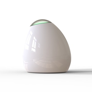 Secur'Egg Aitivity 2